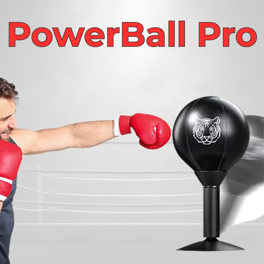 PowerBall Pro - Boxsack mit Saugnapf